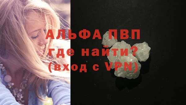 a pvp Бородино