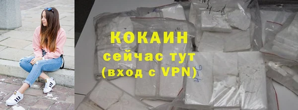 a pvp Бородино