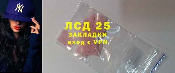 a pvp Бородино