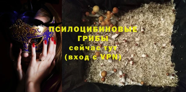 a pvp Бородино