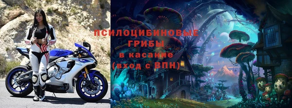 a pvp Бородино