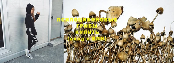 a pvp Бородино