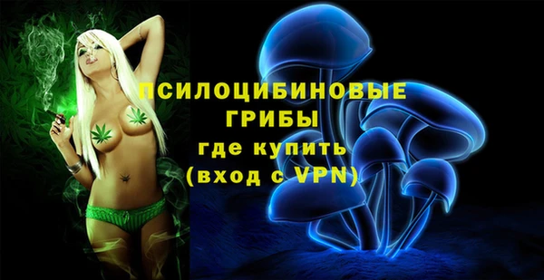 дживик Бронницы
