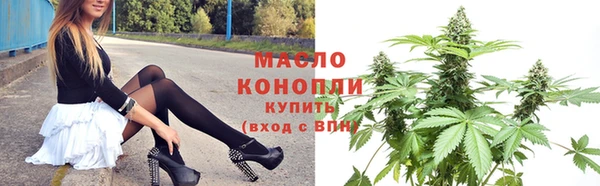 дживик Бронницы